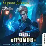 Постер книги Громов: Хозяин теней – 7
