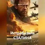 Постер книги Истребитель СТАЛИНА