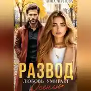 Постер книги Развод. Любовь умирает осенью