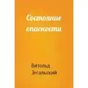 Постер книги Состояние опасности