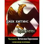 Постер книги Орел улетел