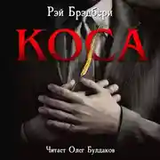 Постер книги Коса