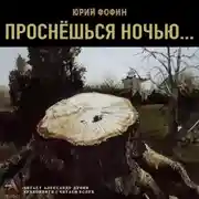Постер книги Проснешься ночью