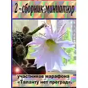 Постер книги 2 - сборник миниатюр