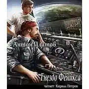 Постер книги Гнездо Феникса