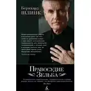 Постер книги Правосудие Зельба