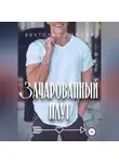 Виктория Сомова - Зачарованный плут