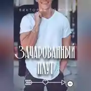 Постер книги Зачарованный плут