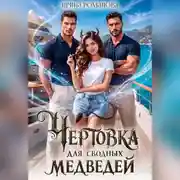 Постер книги Чертовка для сводных медведей
