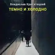 Постер книги Темно и холодно