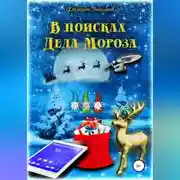 Постер книги В поисках Деда Мороза