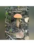 Анна Цыбульник - Рассказы заядлого грибника