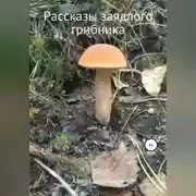 Постер книги Рассказы заядлого грибника