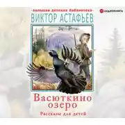 Постер книги Васюткино озеро. Рассказы для детей