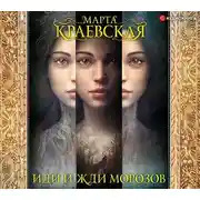 Постер книги Иди и жди морозов
