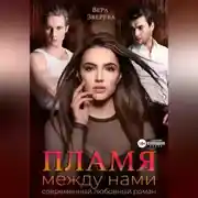 Постер книги Пламя между нами