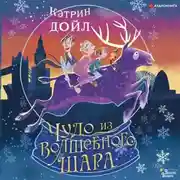 Постер книги Чудо из волшебного шара