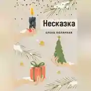 Постер книги Несказка