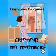 Постер книги Сюрприз по прописке