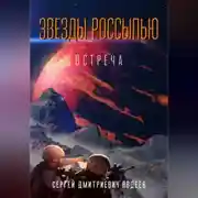 Постер книги Звезды россыпью. Встреча