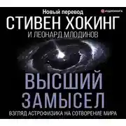 Постер книги Высший замысел. Взгляд астрофизика на сотворение мира