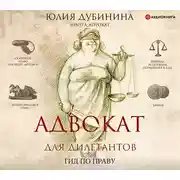 Постер книги Адвокат для дилетантов