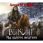 Постер книги Мы платим железом