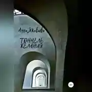 Постер книги Тоннель желаний