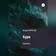 Постер книги Буря