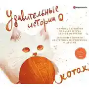 Постер книги Удивительные истории о котах