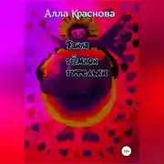 Постер книги Тайна темной туфельки