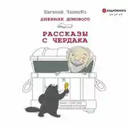 Постер книги Дневник Домового. Рассказы с чердака