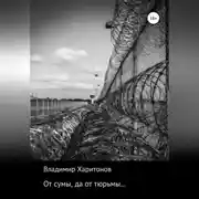 Постер книги От сумы, да от тюрьмы…
