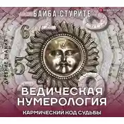 Постер книги Ведическая нумерология. Кармический код судьбы