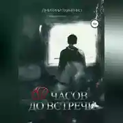 Постер книги 150 часов до встречи