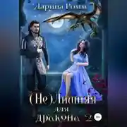 Постер книги (Не) Лишняя для дракона 2