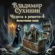 Постер книги Испытание воли