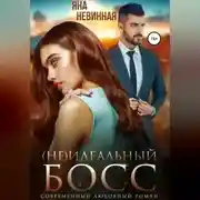 Постер книги (не) идеальный босс