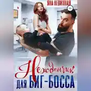 Постер книги Нежданчик для Биг-Босса