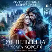 Постер книги Отшельница. Искра короля