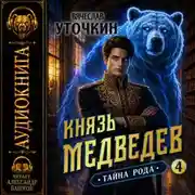Постер книги Князь Медведев. Аудиокнига IV