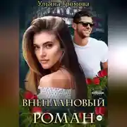 Постер книги Внеплановый роман