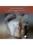 Анастасия Мартюшева - Мы за них в ответе, или Как я стала кошкой…