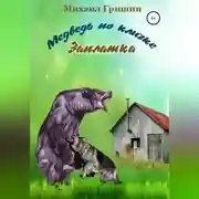 Постер книги Медведь по кличке Заплатка