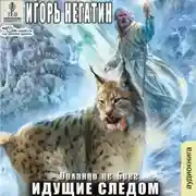 Постер книги Идущие следом