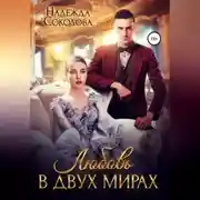 Постер книги Любовь в двух мирах