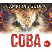 Постер книги Сова