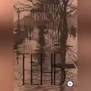 Постер книги Тень