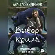 Постер книги Выбор крила