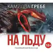 Постер книги На льду